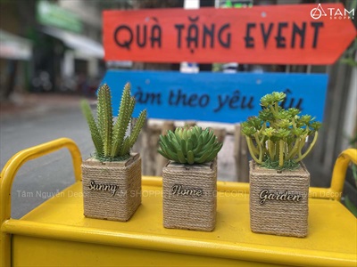 Chậu sen đá vuông quấn dây thừng để bàn [Nhiều kiểu] CHAUCAYGIA-20